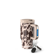 Cocoa Cow