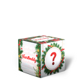 Christmas Mystery Buddy Box 2025