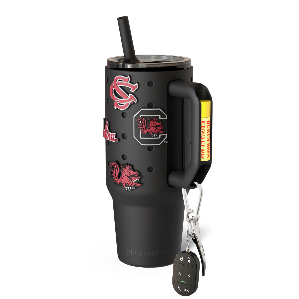 South_Carolina_Gamecocks_98481