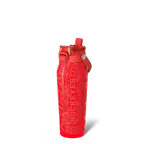 Bottle Buddy 24oz | Ohio State Buckeyes | Color Rush
