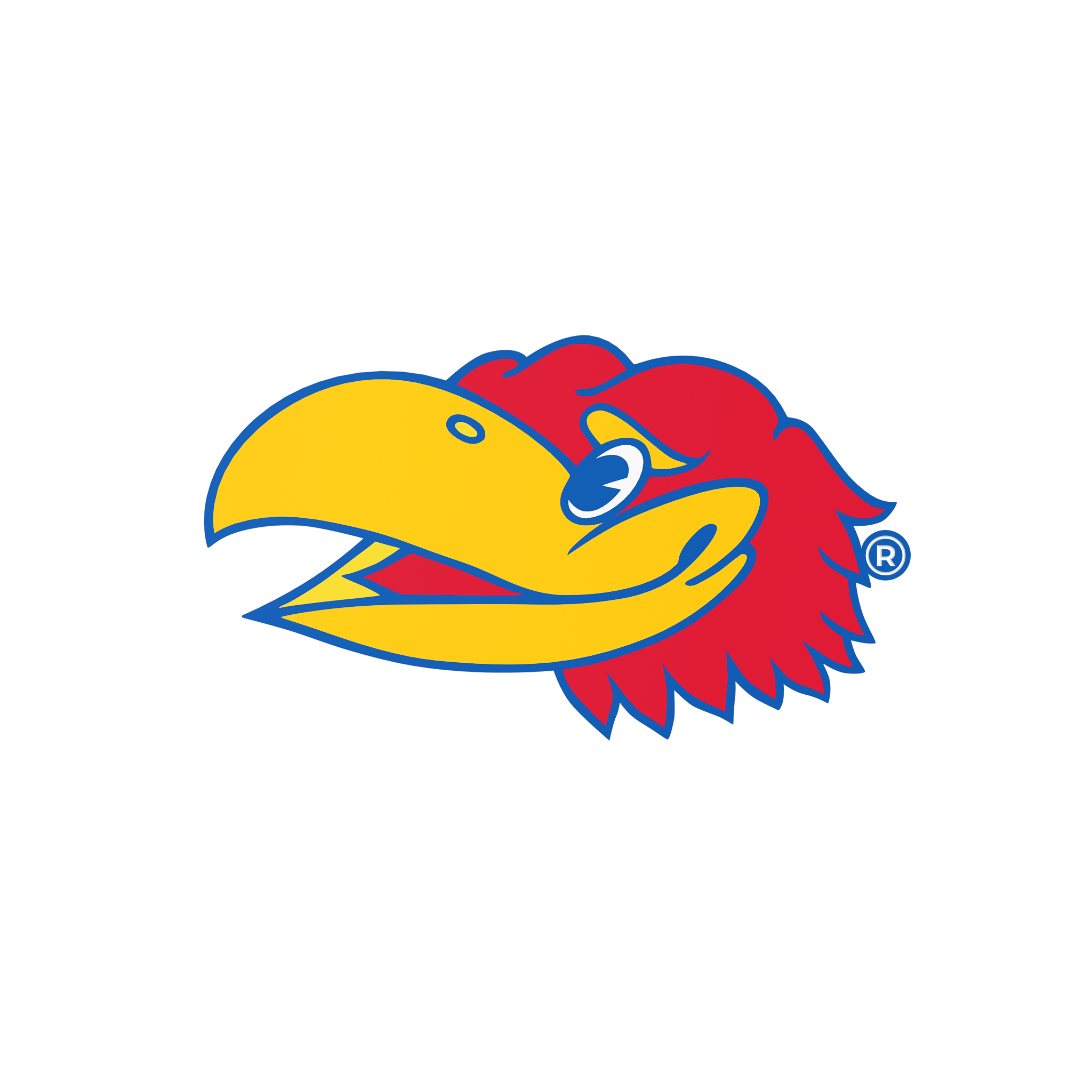 Budz | Kansas Jayhawks