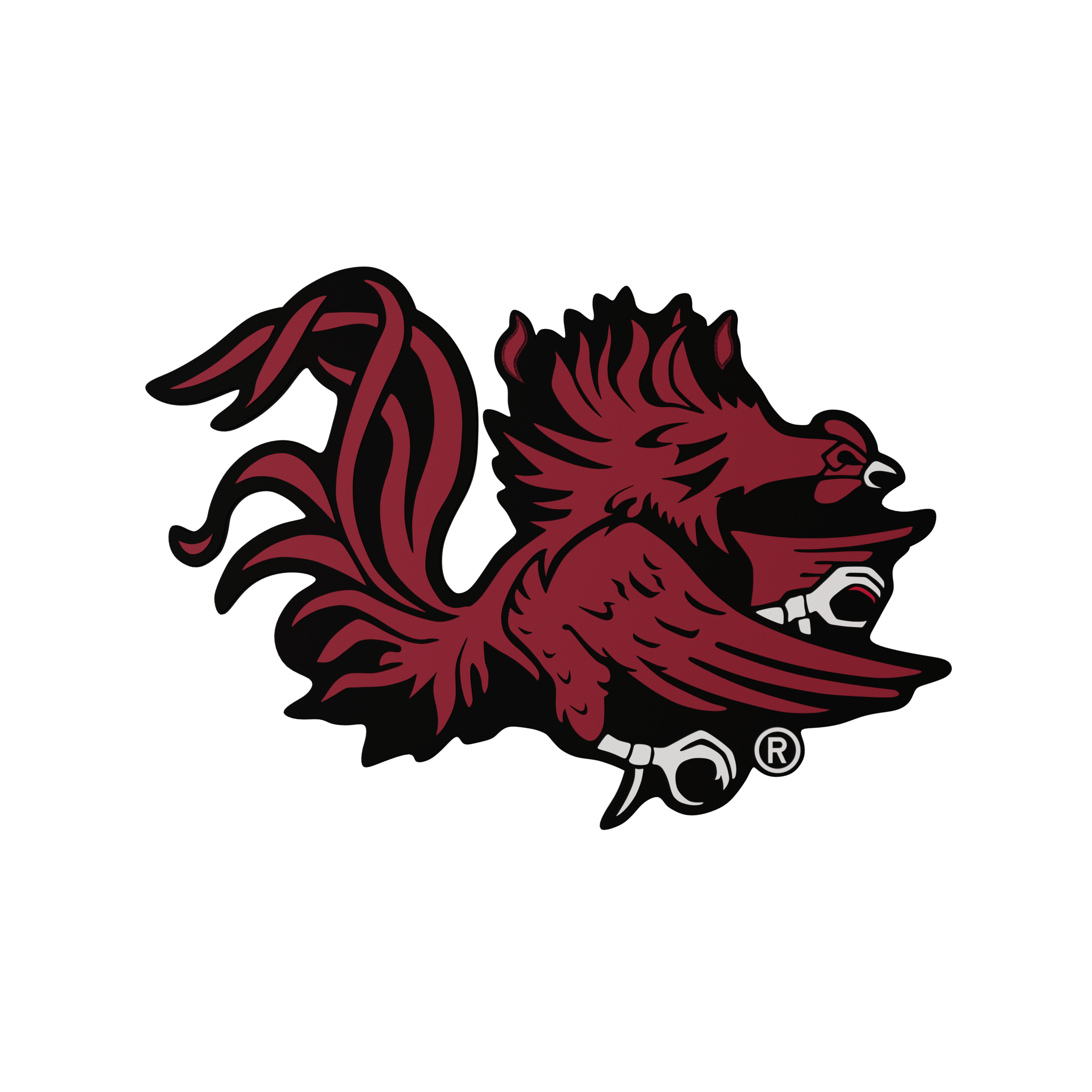 Budz | South Carolina Gamecocks