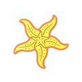 Budz | Starfish