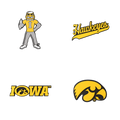 Budz | Iowa Hawkeyes | 4-Pack Bundle