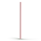 Sunny Shen Ballet Slipper Replacement Straw | Thicc Buddy | #color_ballet slipper