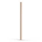 Sunny Shen Replacement Straw | Thicc Buddy |