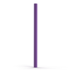 Sunny Shen Replacement Straw | Thicc Buddy |