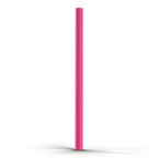 Sunny Shen Replacement Straw | Thicc Buddy |