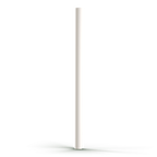 Sunny Shen Replacement Straw | Thicc Buddy |