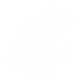 Washington State Cougars